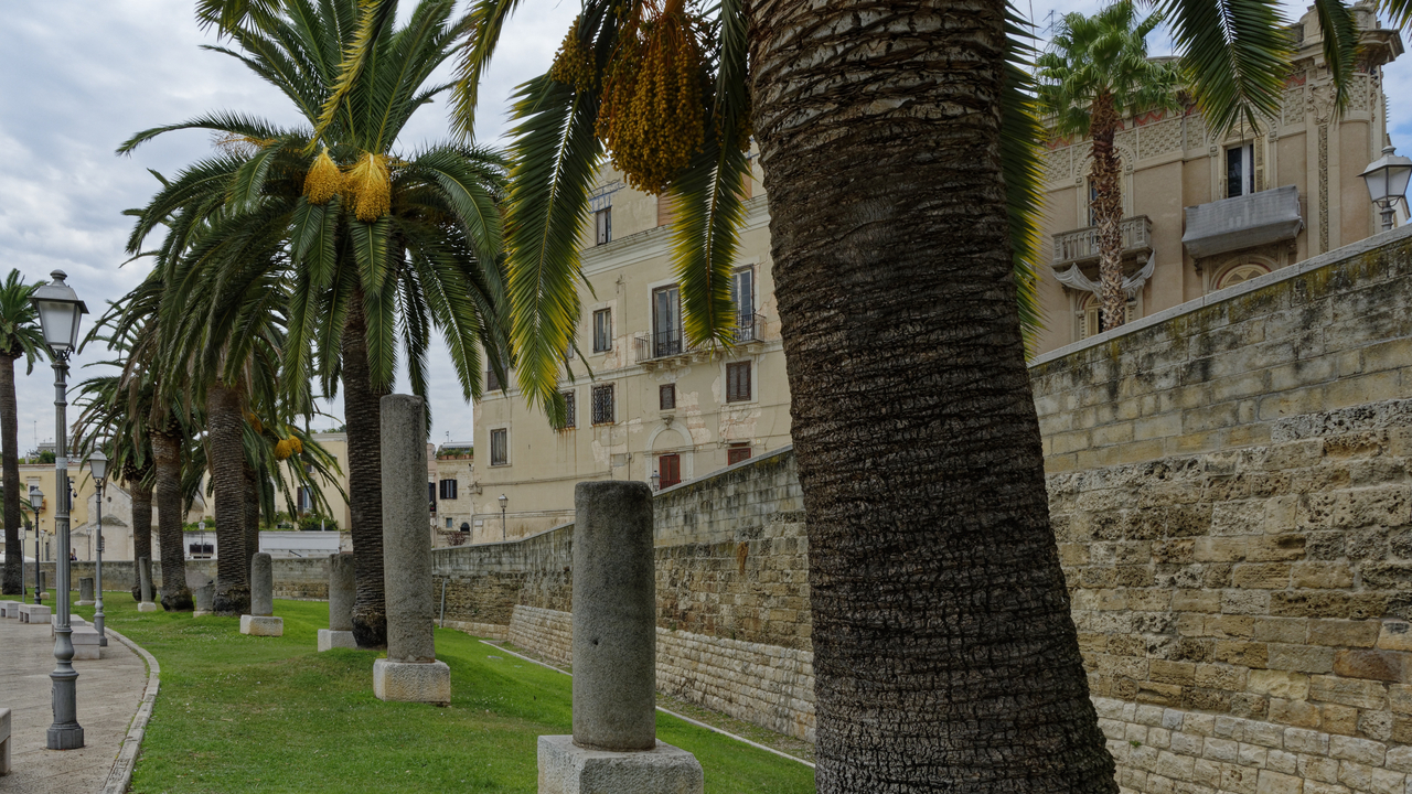 20160824 123612•Bari•Apulia•Italy